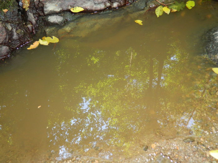 DSCN4735 - 2015_MARCA_1