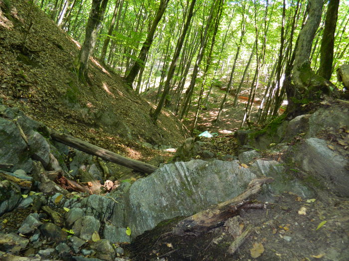 DSCN4737 - 2015_MARCA_1