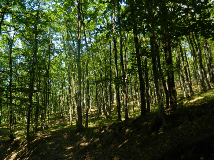 DSCN4742 - 2015_MARCA_1