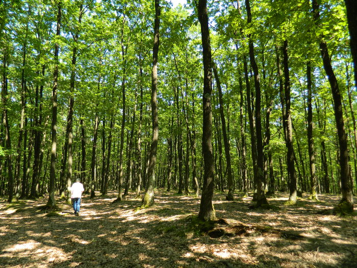 DSCN4761 - 2015_MARCA_1