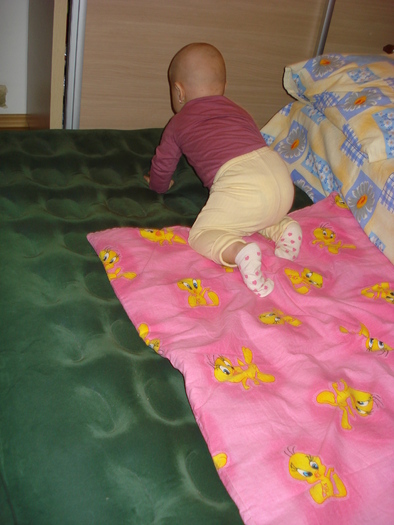 DSC06855