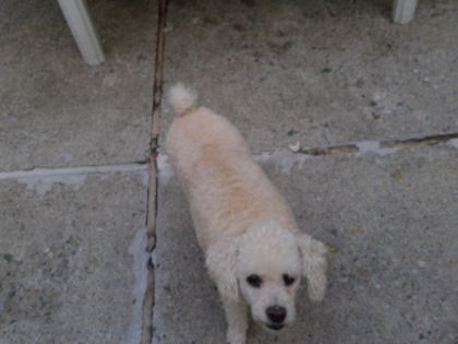 PITI