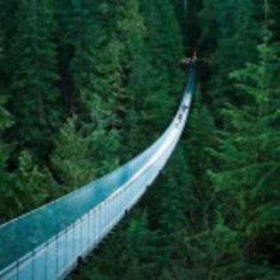 Capilano-Suspension-Bridge-Vancouver-British-Columbia-150x150 - 100 locuri de vizitat