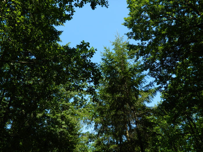 DSCN4768 - 2015_MARCA_1