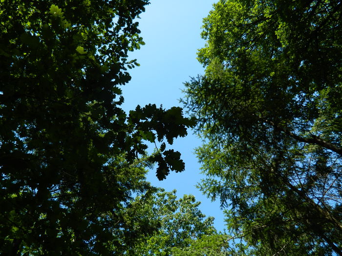 DSCN4771 - 2015_MARCA_1