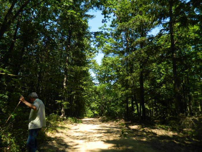 DSCN4772 - 2015_MARCA_1