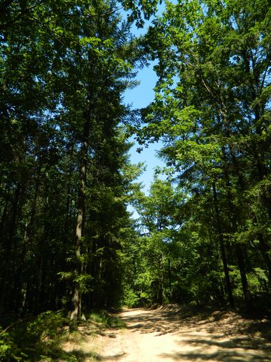 DSCN4773 - 2015_MARCA_1
