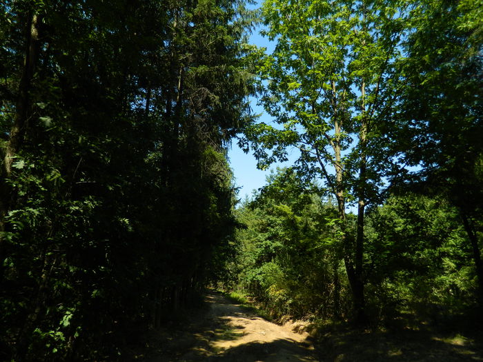 DSCN4787 - 2015_MARCA_1