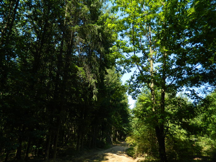 DSCN4790 - 2015_MARCA_1