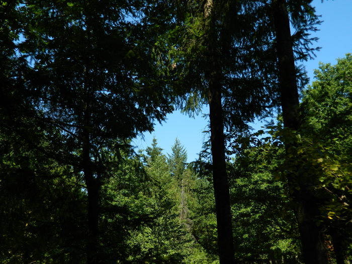 DSCN4791 - 2015_MARCA_1