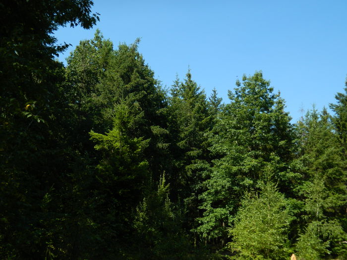 DSCN4793 - 2015_MARCA_1