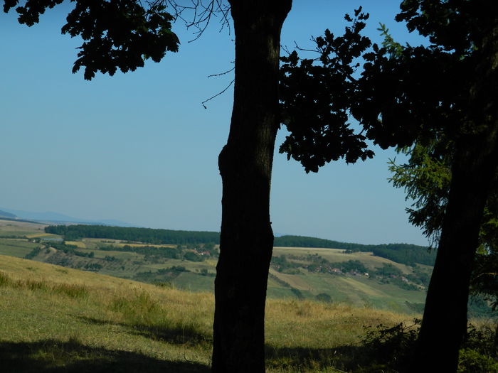 DSCN4838