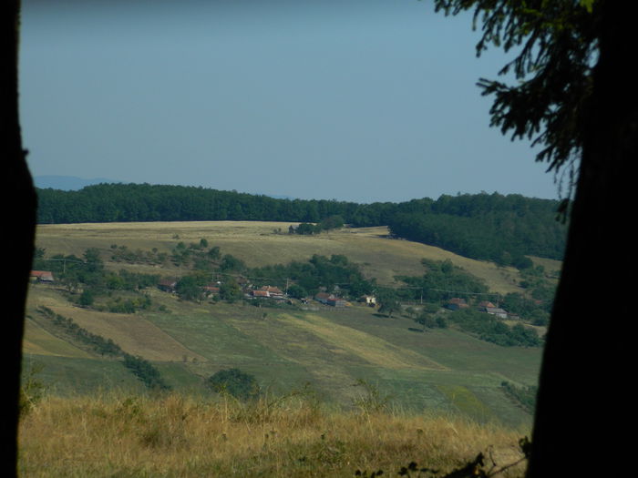 DSCN4839