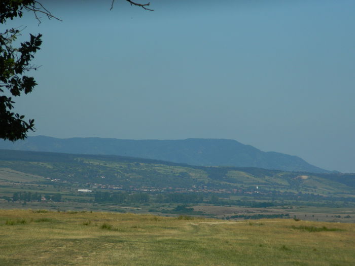 DSCN4841