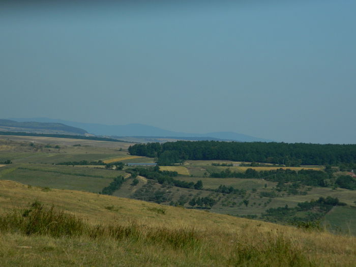 DSCN4842