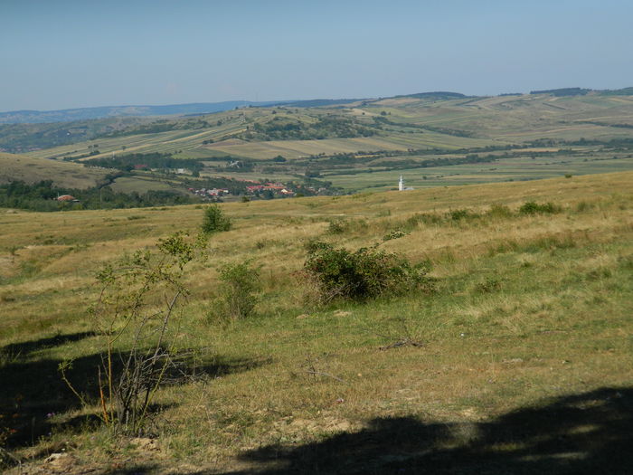 DSCN4845