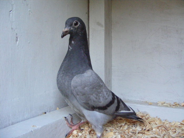 Picture 020 - PUI 2015