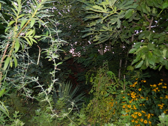 DSCN6912 - 2015_SEPTEMBRIE