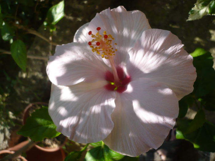 P1230911