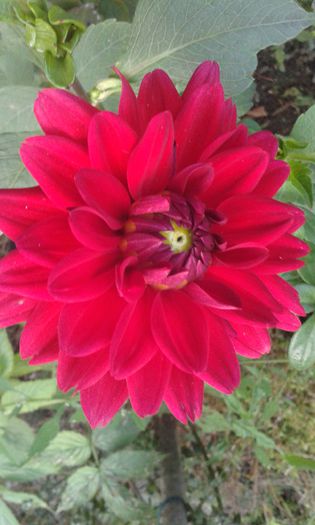 20150904_195916 - martori  in timp