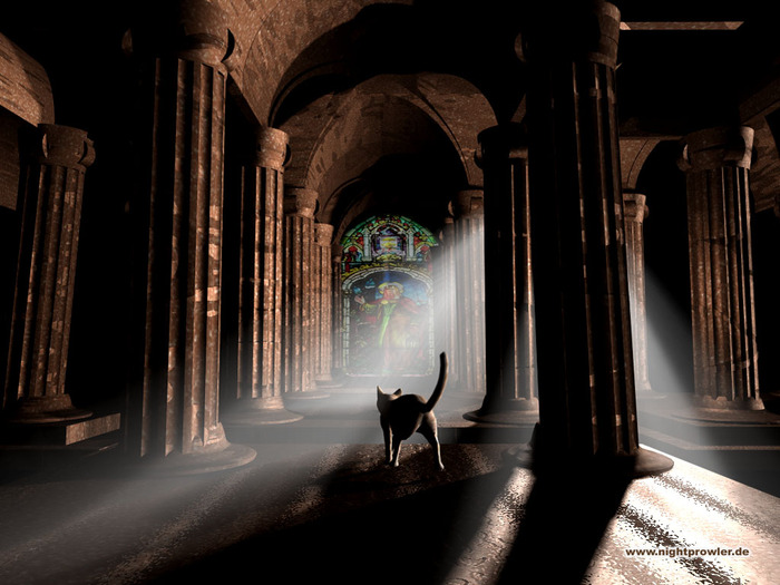 curiosity - poze desktop