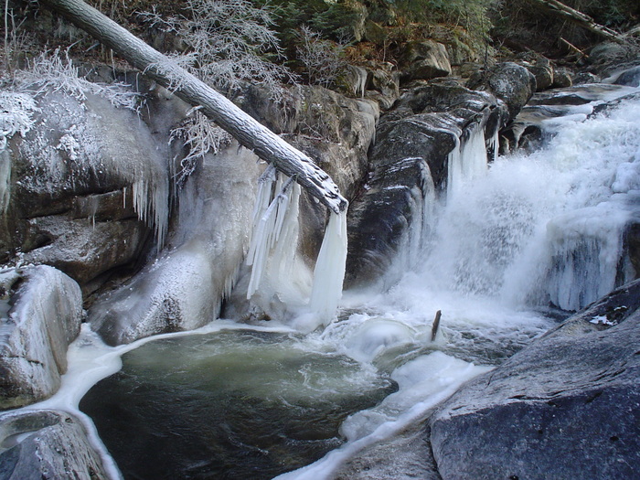 DSC02978 - poze desktop