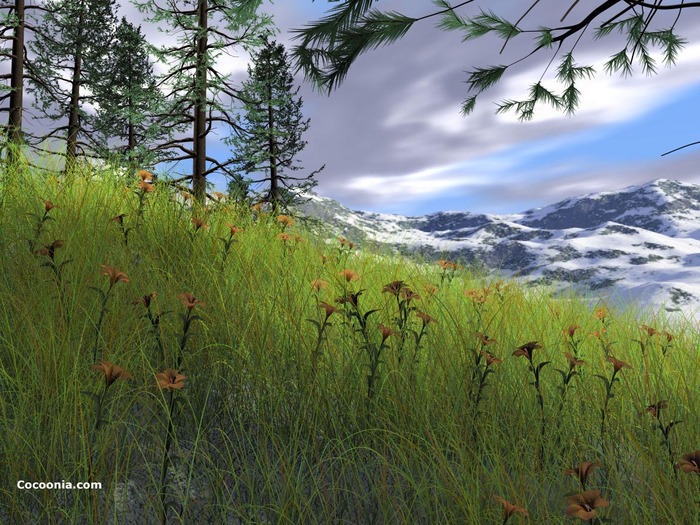 easter - poze desktop