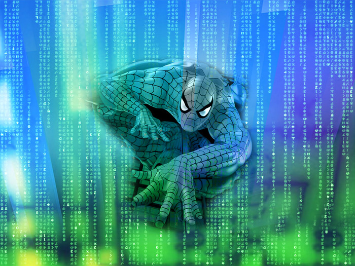 Spiderman - poze desktop
