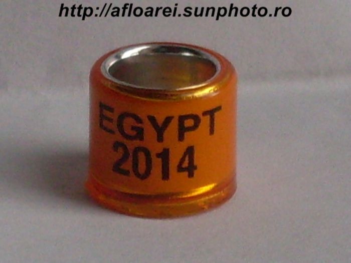 egypt 2014 - EGYPT