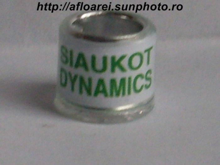 siaukot dynamics 2013