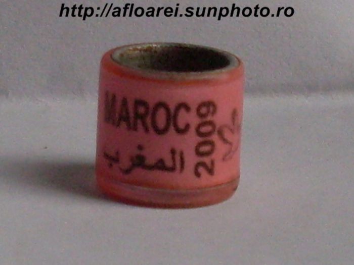 maroc 2009 roz - MAROC