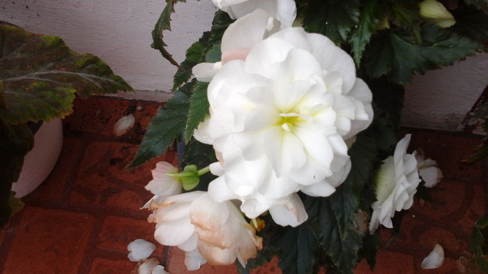20150906_113643