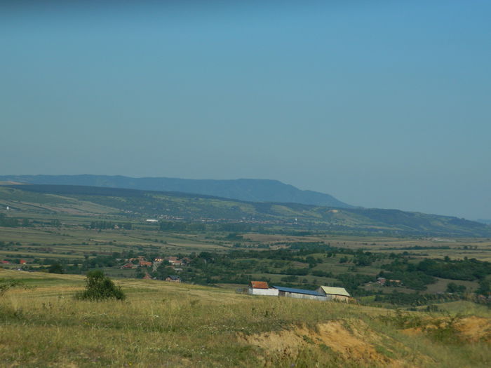 DSCN4848