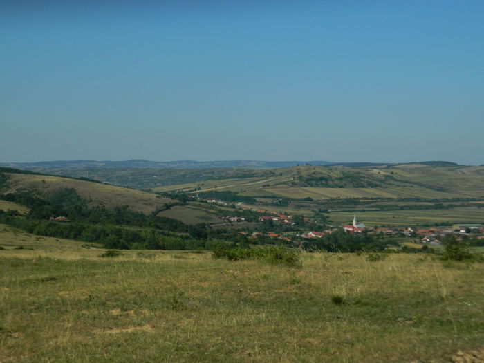 DSCN4849