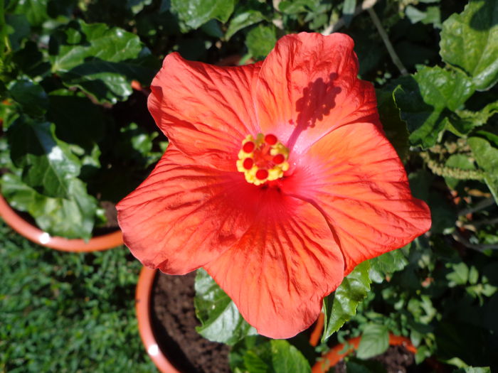 DSC09833