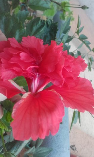 20150904_174046 - hibi 2015