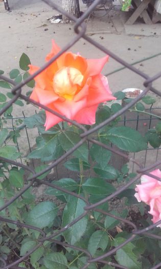 20150904_174158