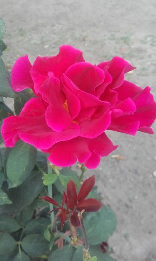 20150904_174209