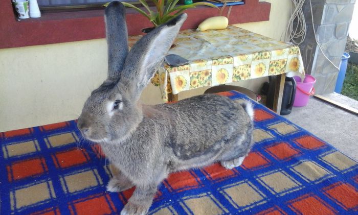 Aici are 6 luni si 10 zile (1)