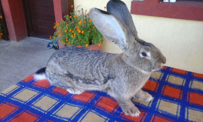 Aici are 6 luni si 10 zile (3)