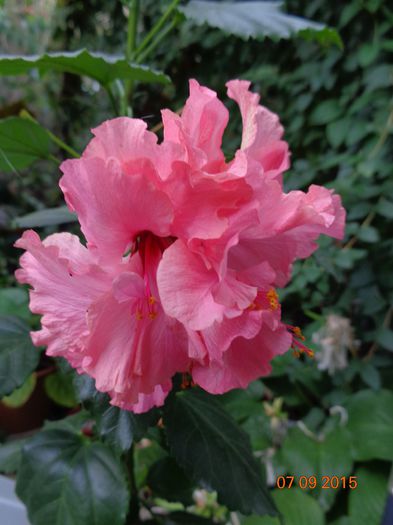 DSC01967