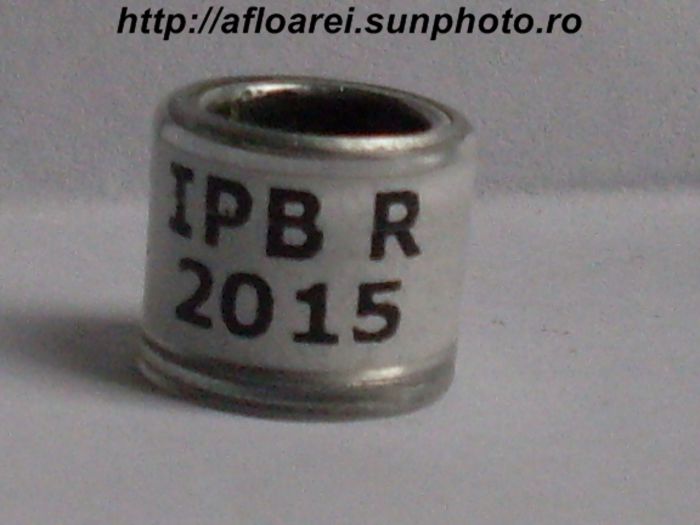ipb r 2015; INDEPENDENT PIGEON BREEDERS
