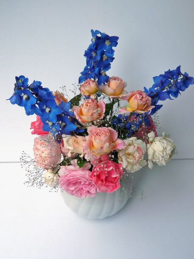 P1680326 - 01 - Floristica