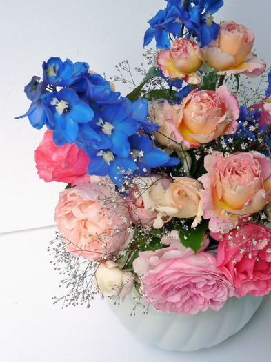 P1680331 - 01 - Floristica