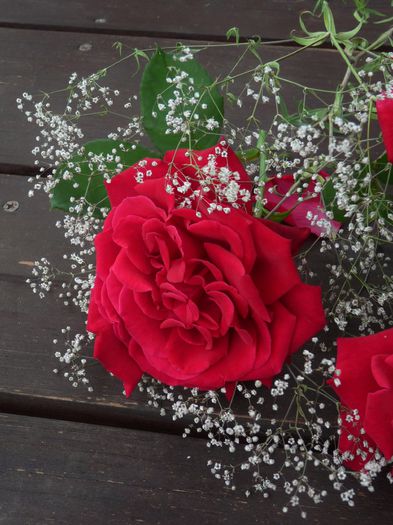 © - 01 - Floristica