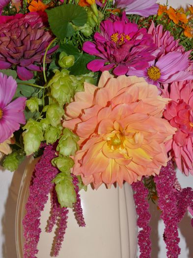 P1720373 - 01 - Floristica