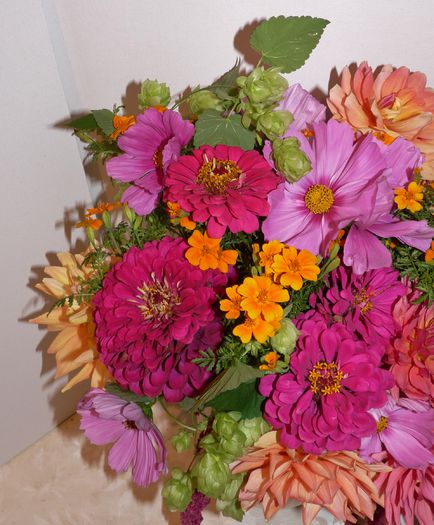 P1720386 - 01 - Floristica