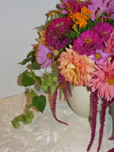 P1720417 - 01 - Floristica