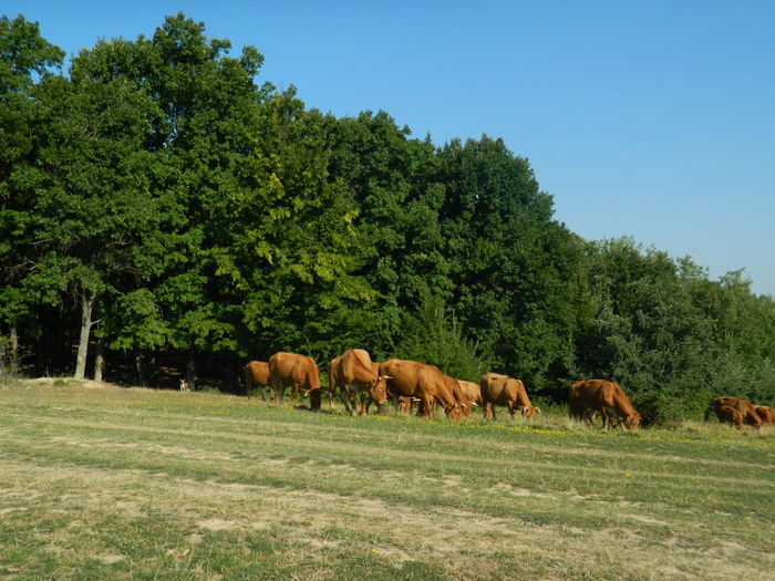DSCN4972 - 2015_MARCA_2