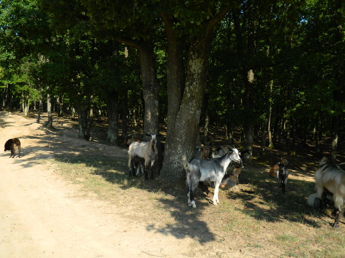 DSCN4976 - 2015_MARCA_2